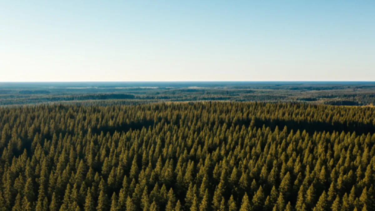 Sustainability and ESG